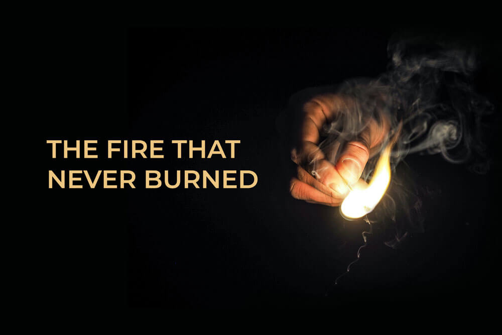 Elitism, Caste, Safe Spaces, Spaces International, Inclusion, Mixed Race, Interracial, Experience